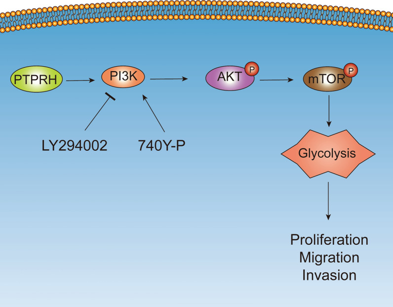 graphic file with name 12967_2023_4703_Figa_HTML.jpg