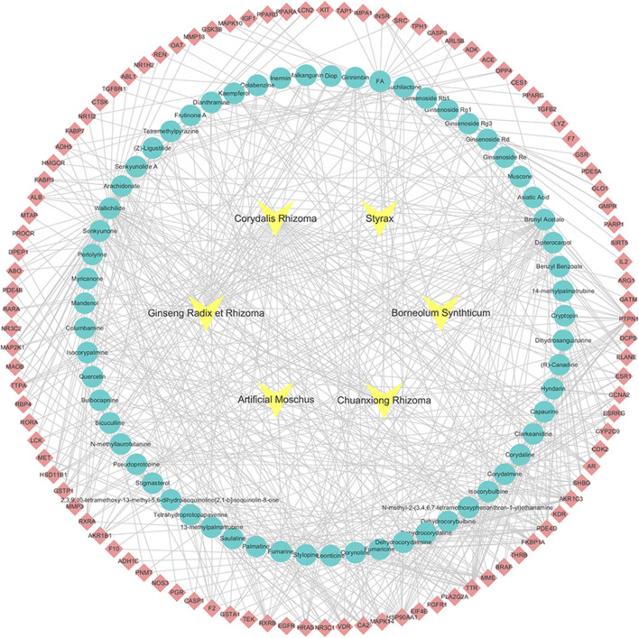 FIGURE 1