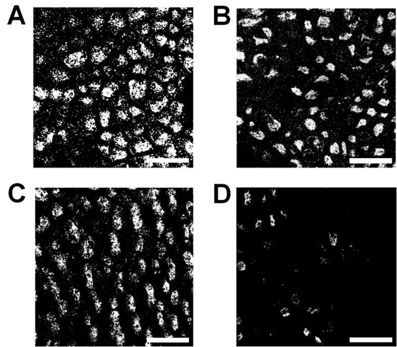 Fig. 4a–d