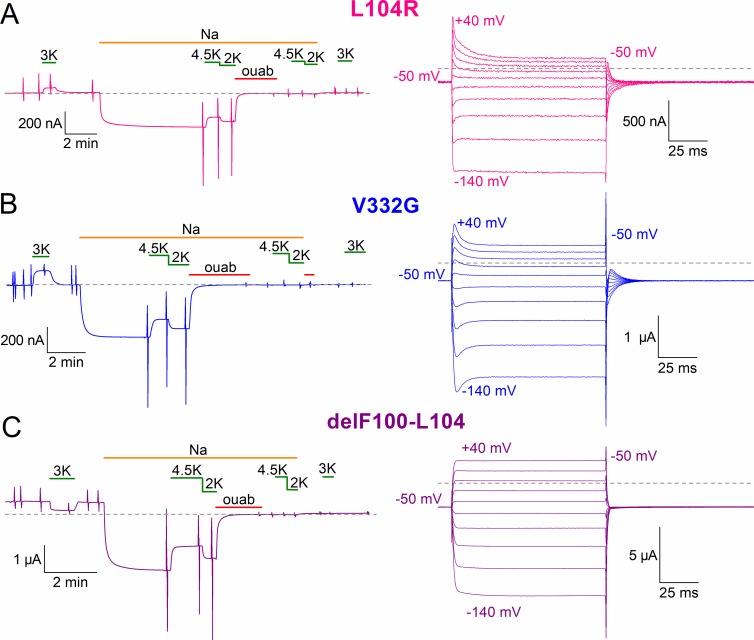 Figure 5.