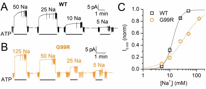 Figure 10.