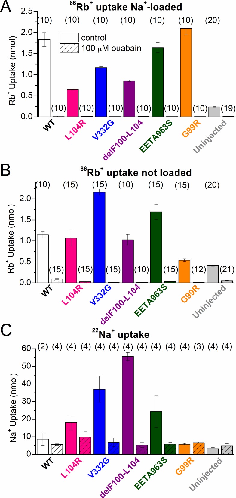 Figure 11.