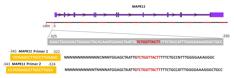 Figure 6—figure supplement 1.