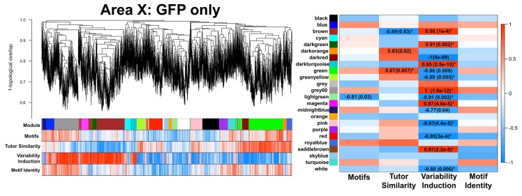 Figure 3—figure supplement 1.