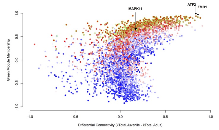 Figure 5—figure supplement 1.