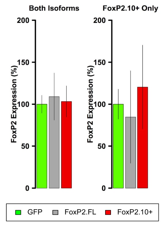 Figure 1—figure supplement 2.