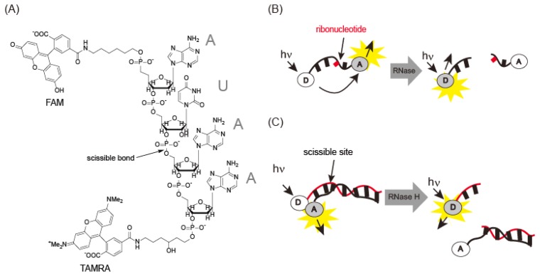 Figure 7.