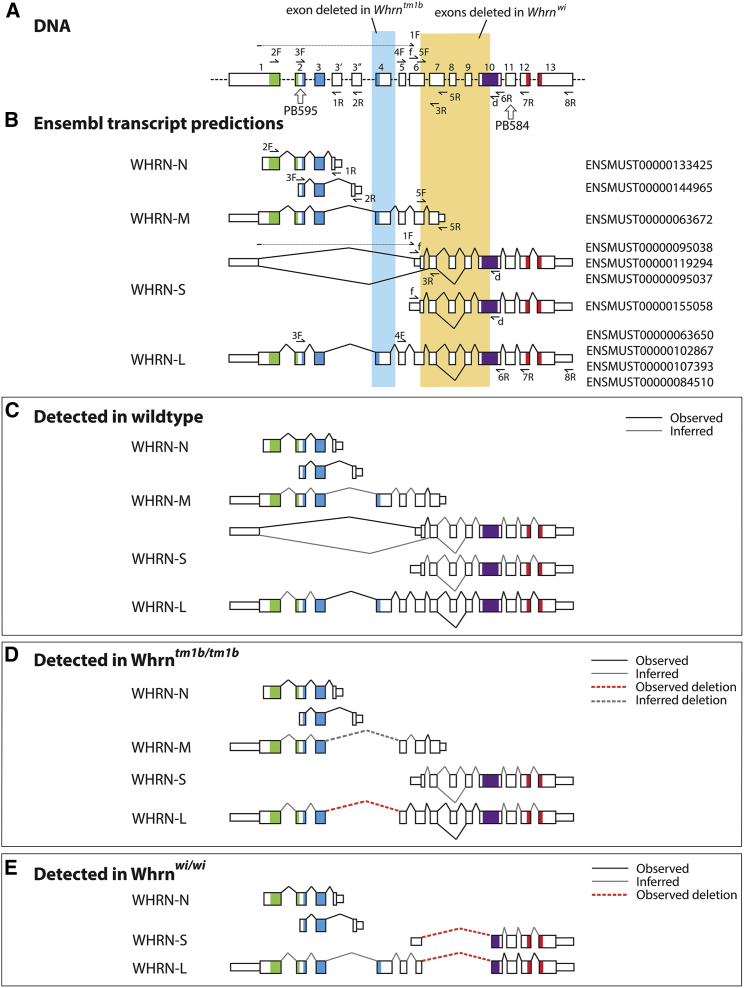 Figure 1