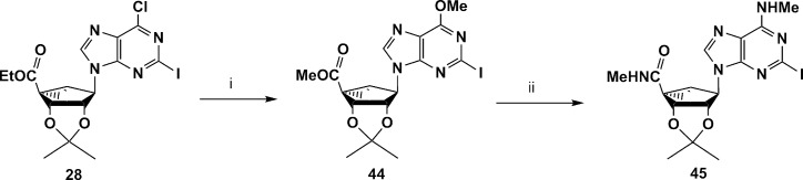 Scheme 5