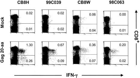 FIG. 4.