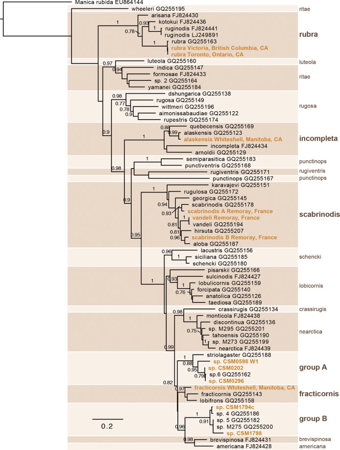 FIG 1