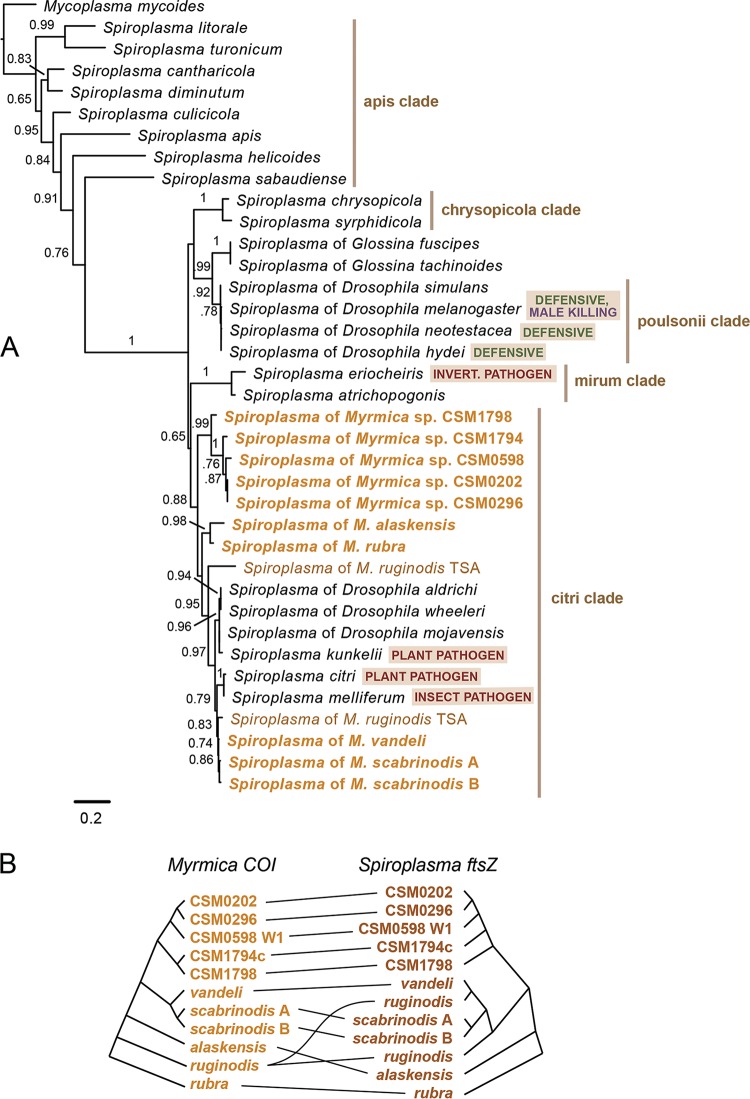 FIG 2