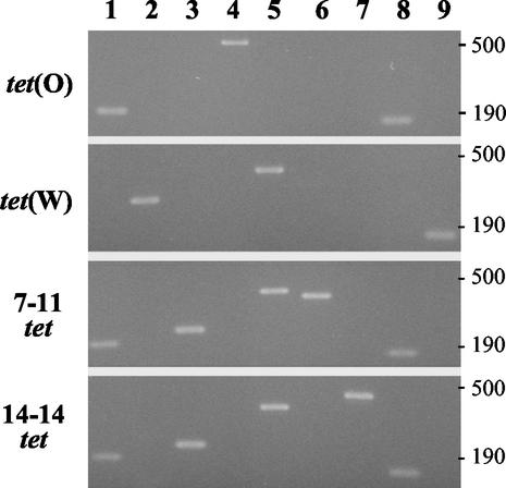 FIG. 5.