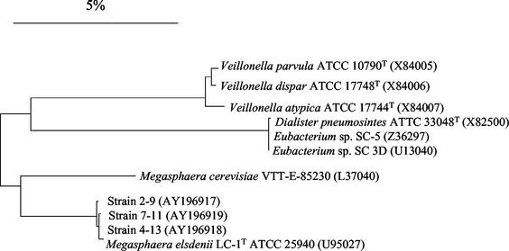 FIG. 2.