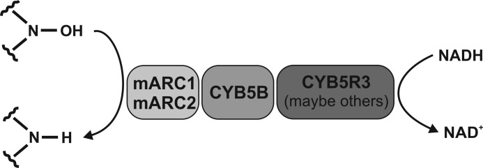 FIGURE 1.