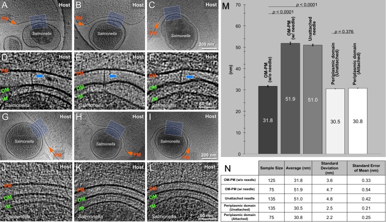 Figure 2—figure supplement 2.