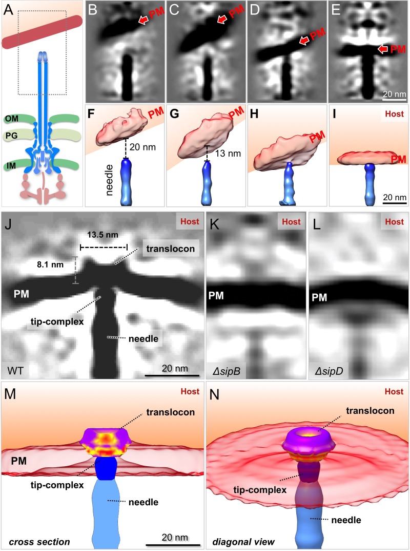 Figure 3.