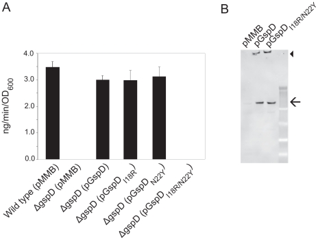 Figure 5