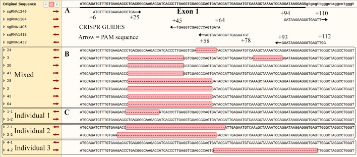 Fig. 3.