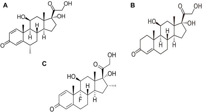 FIGURE 3