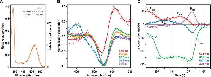 FIGURE 6.