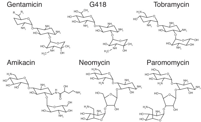 Figure 1—figure supplement 1.