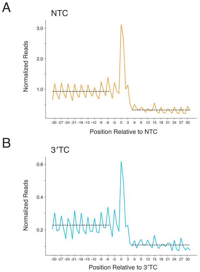 Figure 5—figure supplement 2.