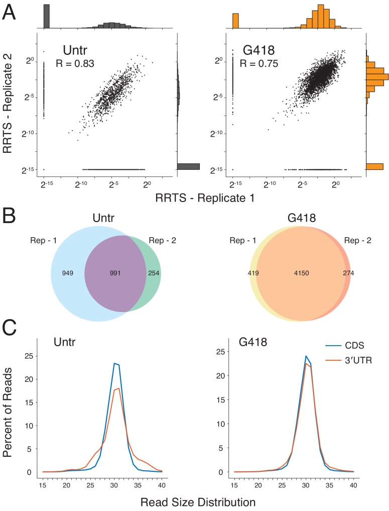 Figure 3—figure supplement 1.