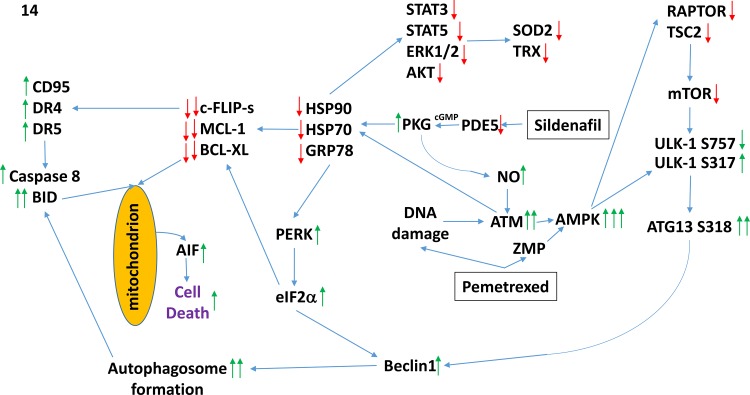 Figure 14