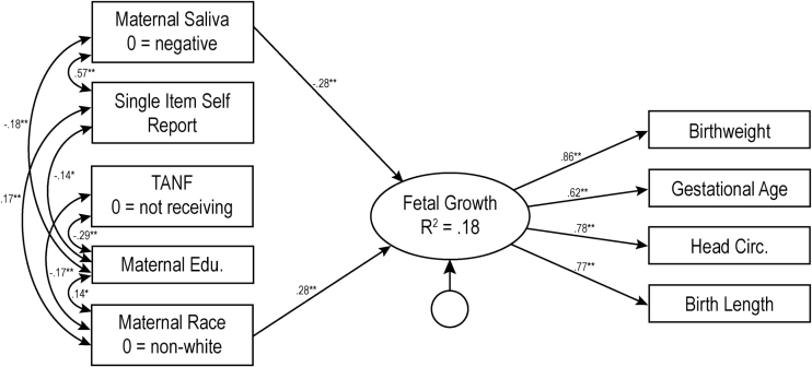 Figure 2.