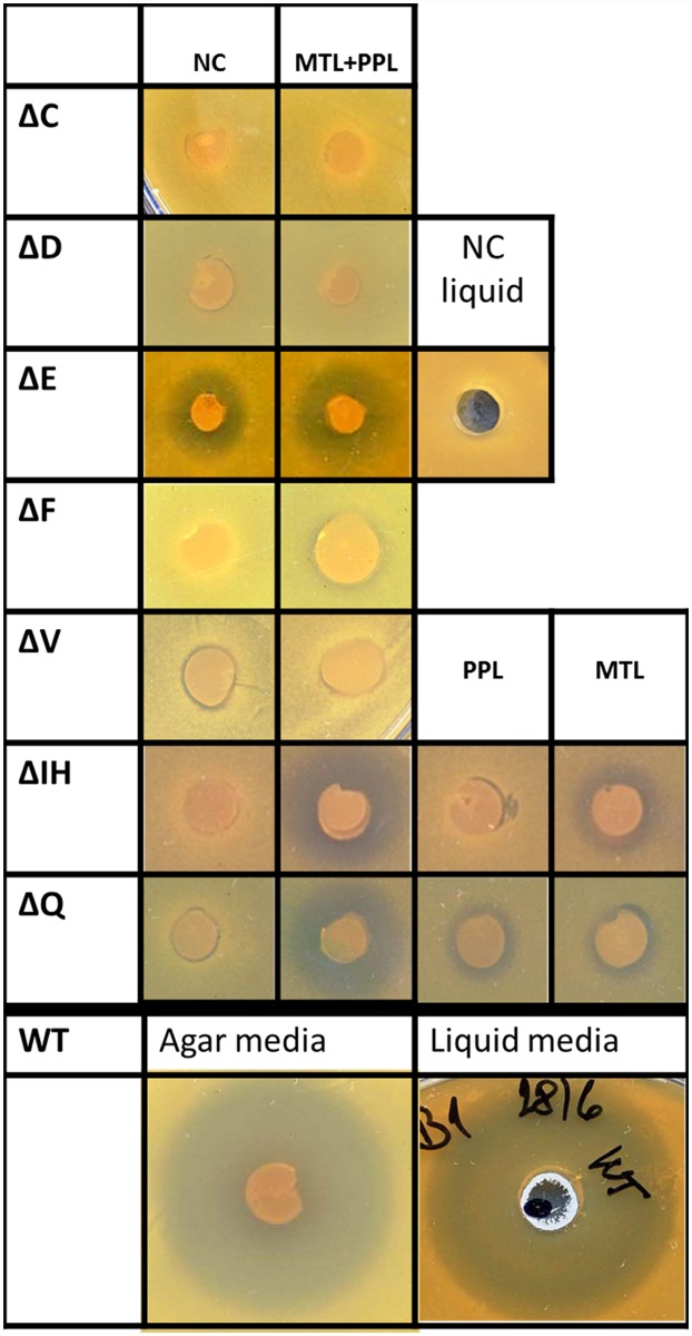 Fig 4