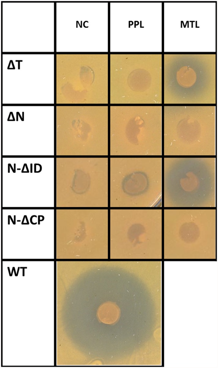 Fig 3