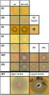 Fig 4