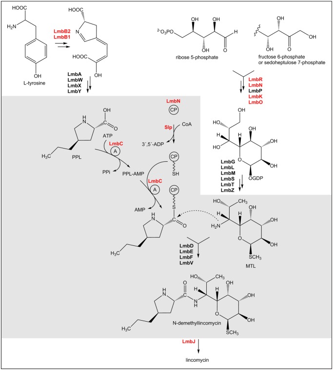 Fig 2