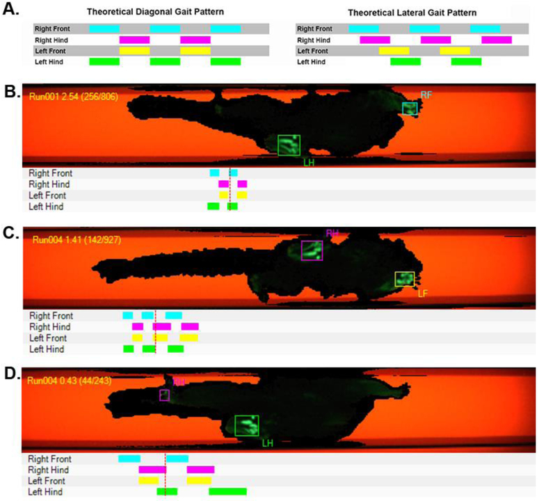 Figure 4.