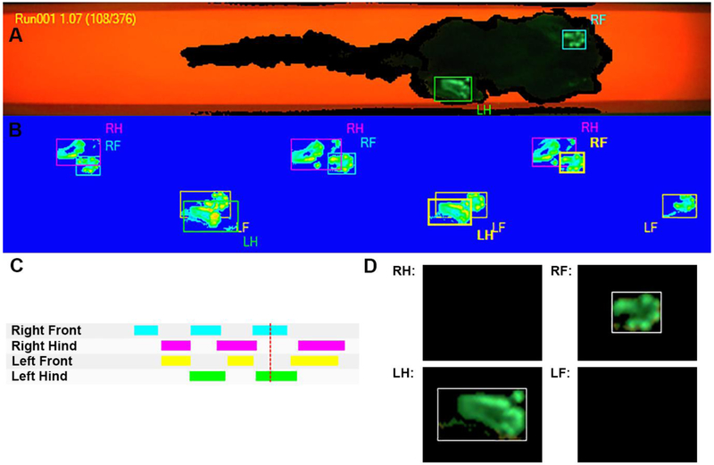 Figure 2: