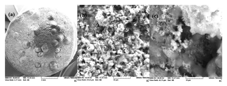 Figure 17