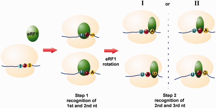 Figure 6.