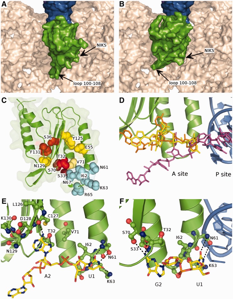 Figure 5.