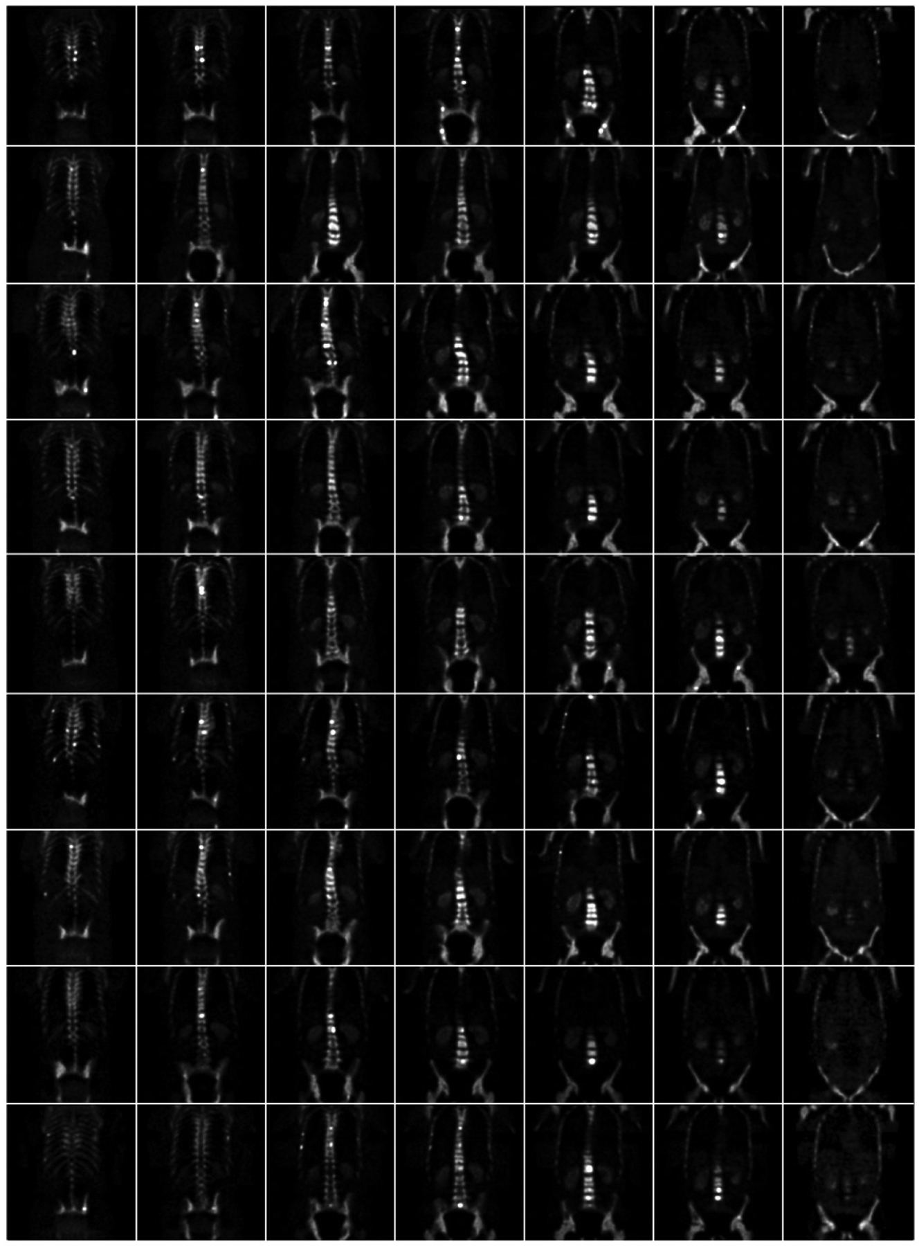 Figure 11: