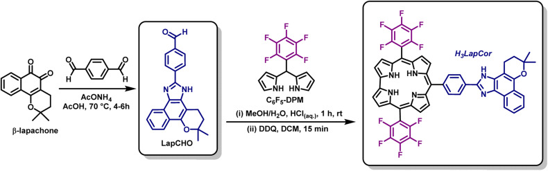 Scheme 2