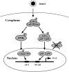 Fig. 7.