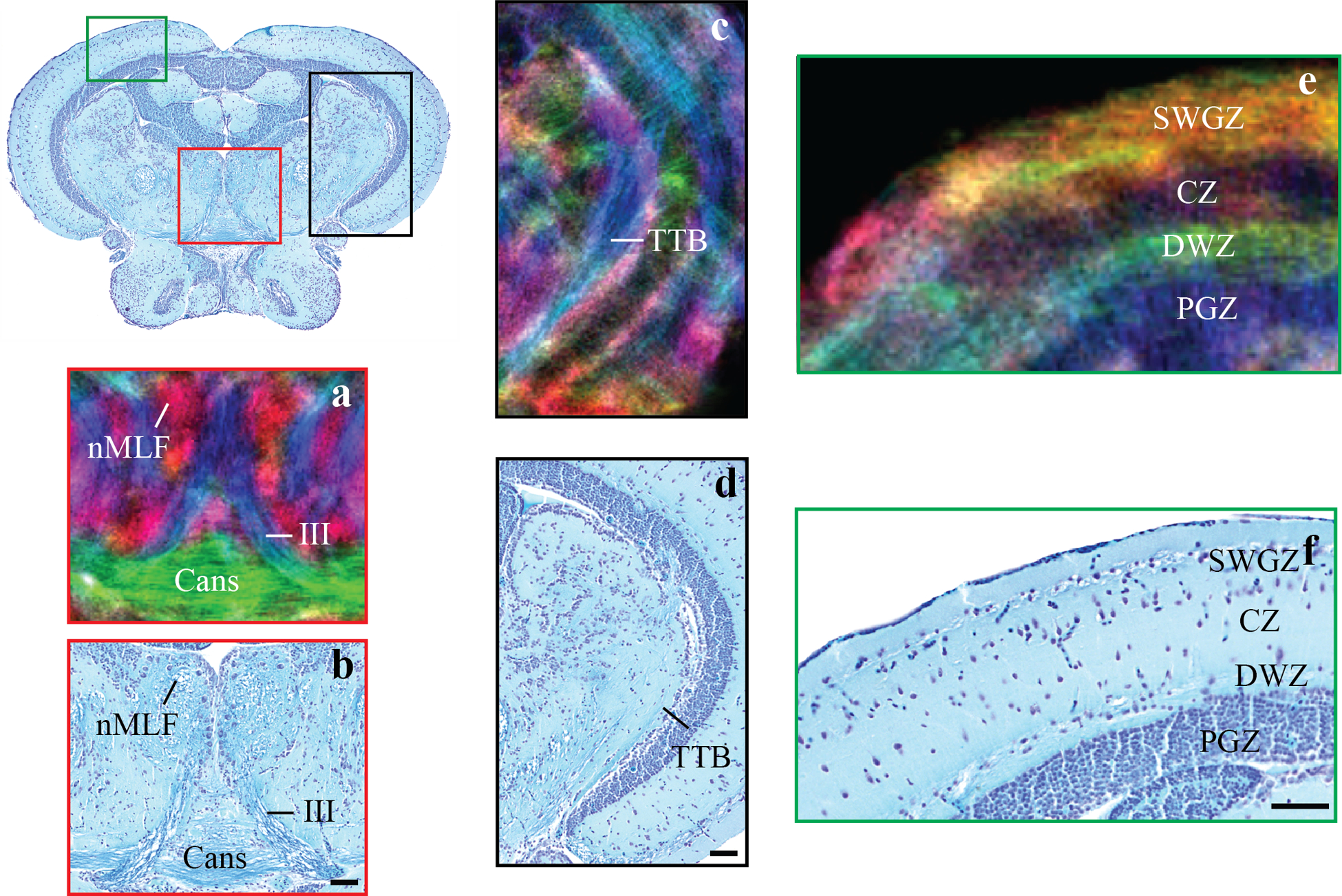 Figure 4: