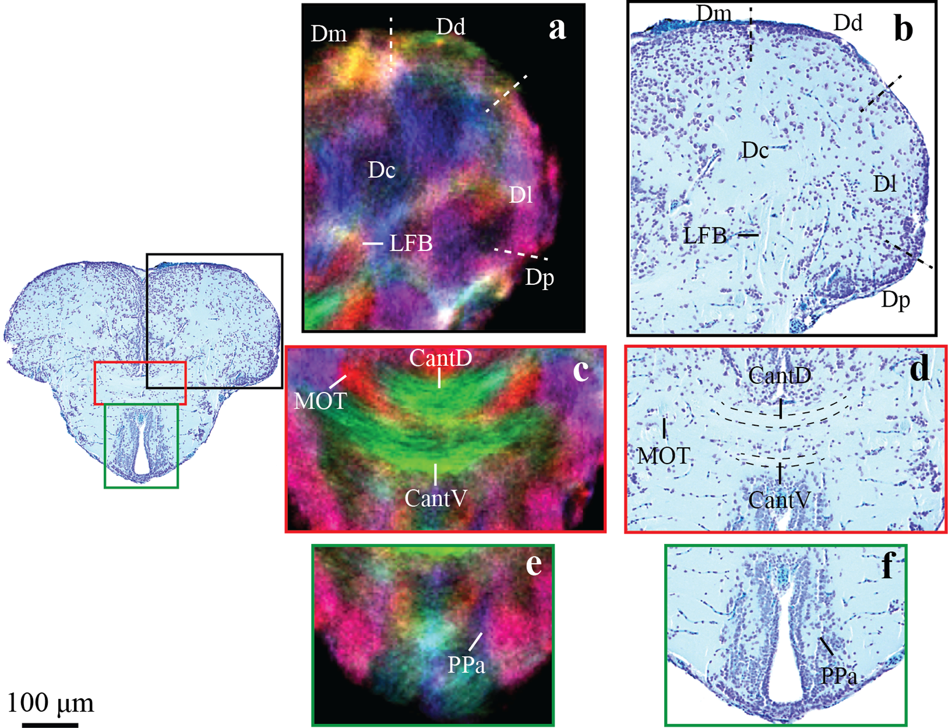 Figure 3: