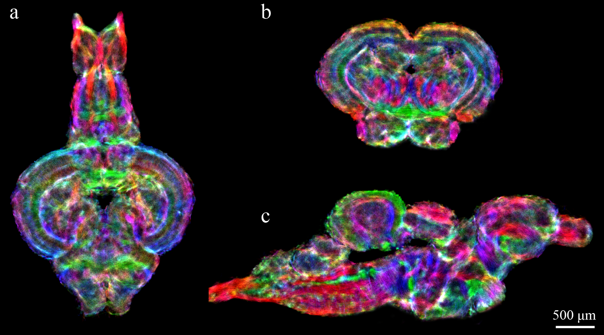 Figure 1: