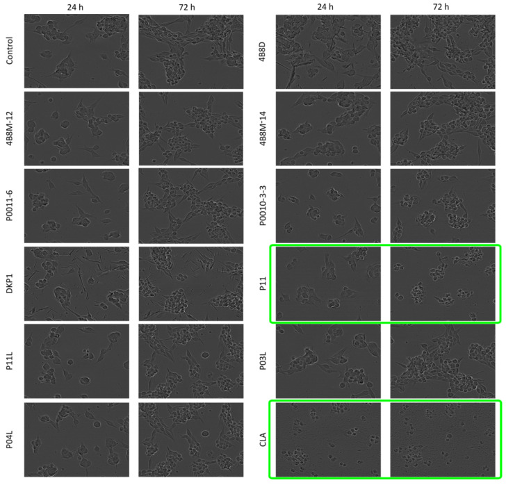 Figure 6