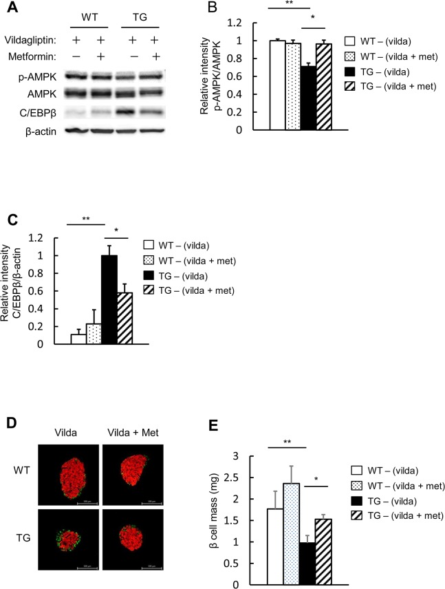 Fig 8