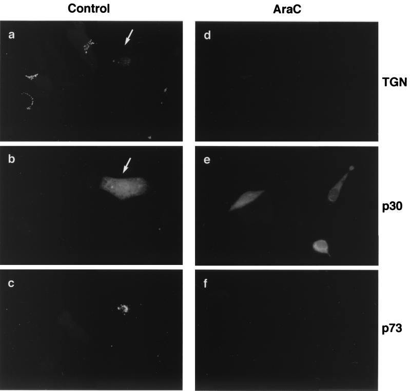 FIG. 6