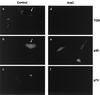 FIG. 6