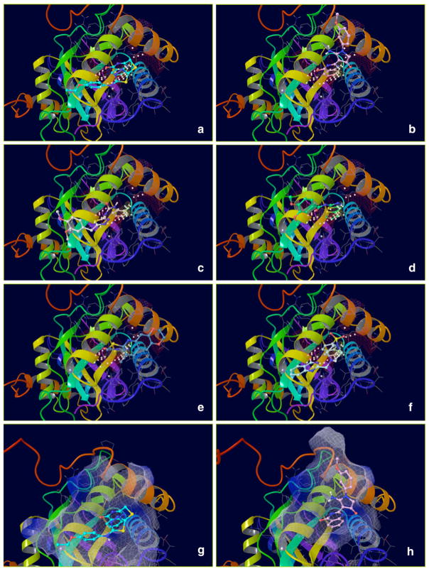 Fig. 5